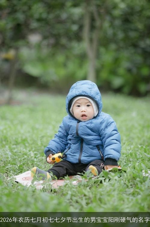 2026年农历七月初七七夕节出生的男宝宝阳刚硬气的名字
