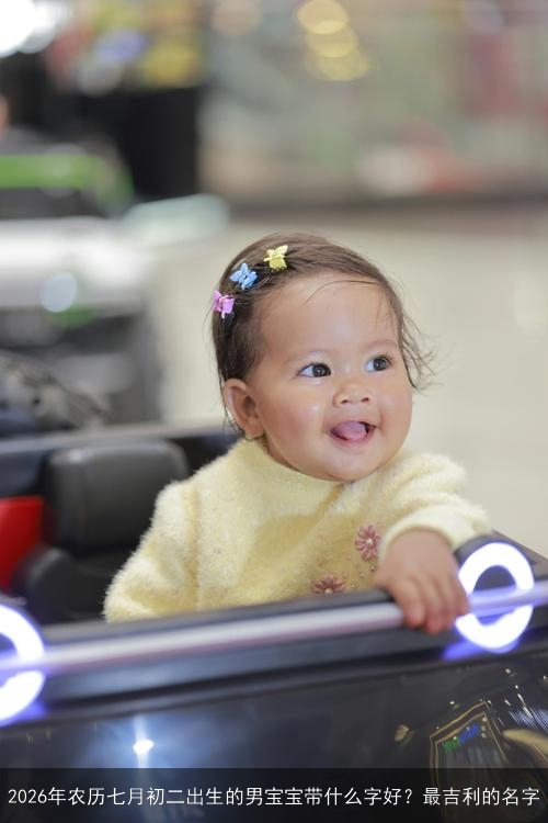 2026年农历七月初二出生的男宝宝带什么字好？最吉利的名字