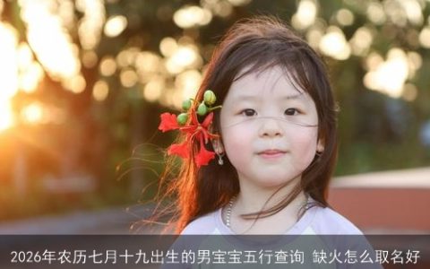 2026年农历七月十九出生的男宝宝五行查询 缺火怎么取名好