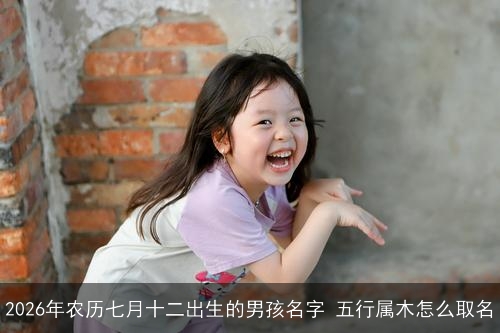 2026年农历七月十二出生的男孩名字 五行属木怎么取名