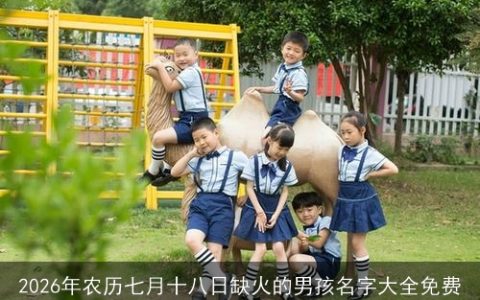 2026年农历七月十八日缺火的男孩名字大全免费