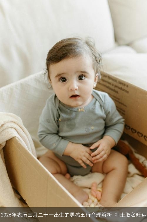 2026年农历三月二十一出生的男孩五行命理解析 补土取名旺运