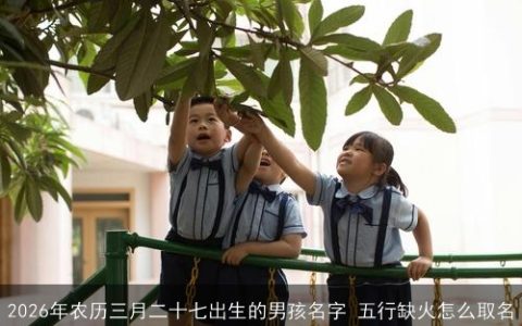 2026年农历三月二十七出生的男孩名字 五行缺火怎么取名