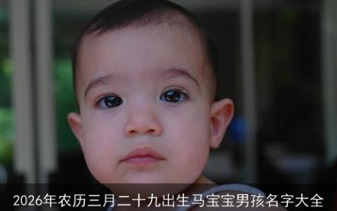 2026年农历三月二十九出生马宝宝男孩名字大全