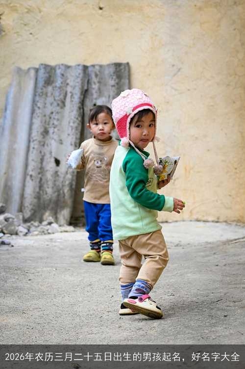 2026年农历三月二十五日出生的男孩起名，好名字大全