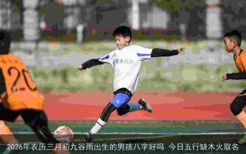 2026年农历三月初九谷雨出生的男孩八字好吗 今日五行缺木火取名