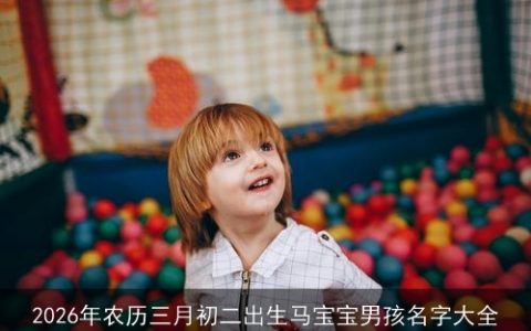 2026年农历三月初二出生马宝宝男孩名字大全