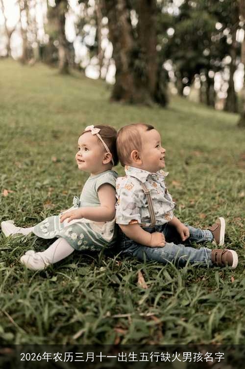 2026年农历三月十一出生五行缺火男孩名字