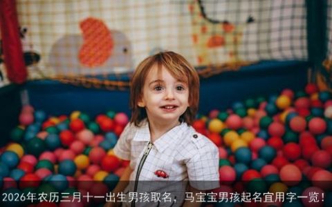 2026年农历三月十一出生男孩取名，马宝宝男孩起名宜用字一览！