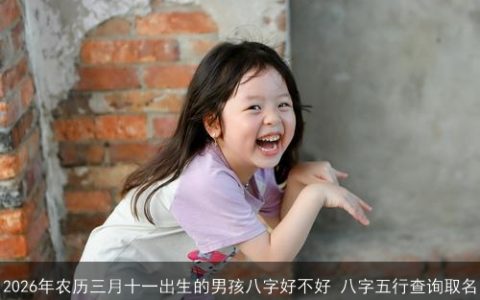 2026年农历三月十一出生的男孩八字好不好 八字五行查询取名