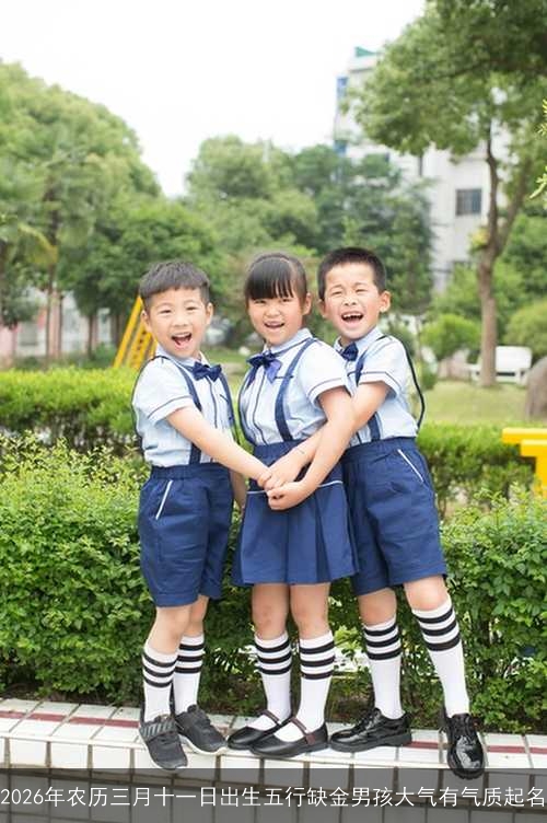 2026年农历三月十一日出生五行缺金男孩大气有气质起名