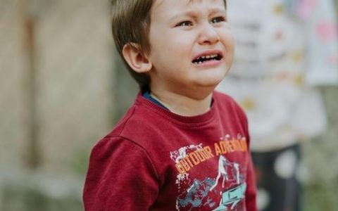 2026年农历三月十七出生的男孩好吗 缺木取名测试打分