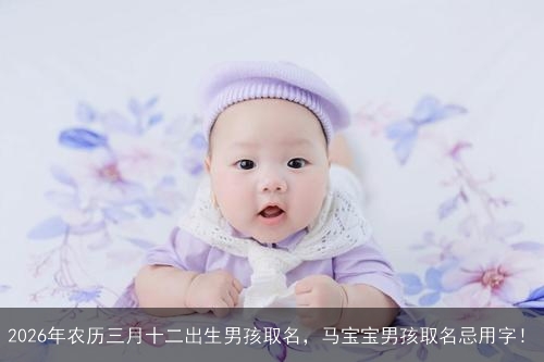 2026年农历三月十二出生男孩取名，马宝宝男孩取名忌用字！