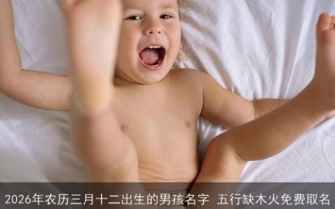 2026年农历三月十二出生的男孩名字 五行缺木火免费取名