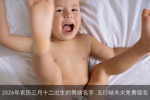 2026年农历三月十二出生的男孩名字 五行缺木火免费取名