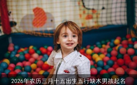 2026年农历三月十五出生五行缺木男孩起名