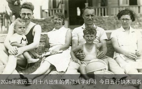2026年农历三月十八出生的男孩八字好吗 今日五行缺木取名