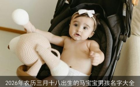 2026年农历三月十八出生的马宝宝男孩名字大全