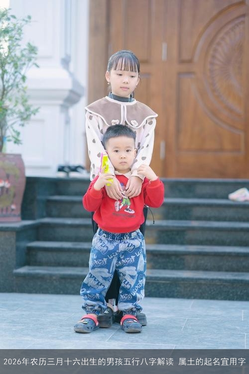 2026年农历三月十六出生的男孩五行八字解读 属土的起名宜用字