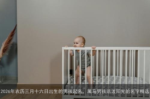 2026年农历三月十六日出生的男孩起名，属马男孩活泼阳光的名字精选
