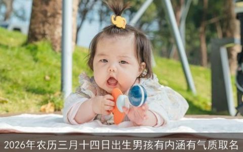 2026年农历三月十四日出生男孩有内涵有气质取名