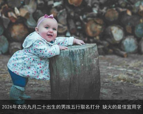 2026年农历九月二十出生的男孩五行取名打分 缺火的最佳宜用字