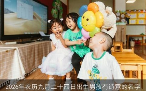 2026年农历九月二十四日出生男孩有诗意的名字
