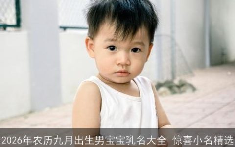 2026年农历九月出生男宝宝乳名大全 惊喜小名精选