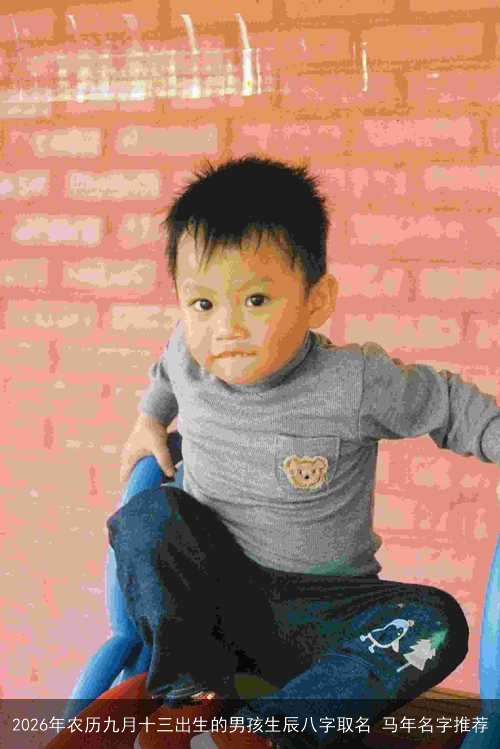 2026年农历九月十三出生的男孩生辰八字取名 马年名字推荐