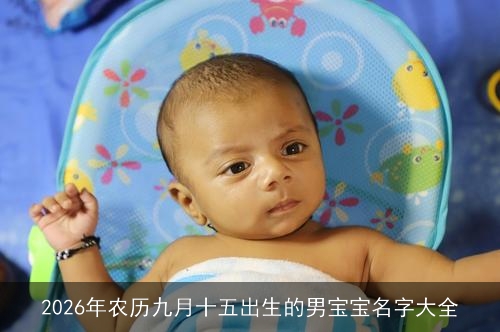 2026年农历九月十五出生的男宝宝名字大全