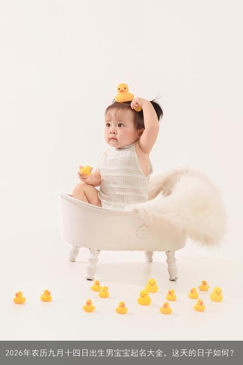 2026年农历九月十四日出生男宝宝起名大全，这天的日子如何？