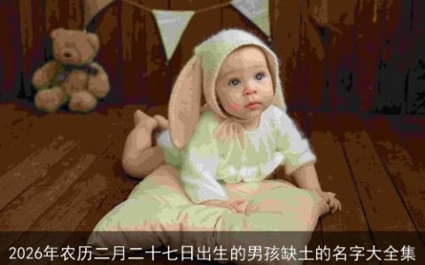 2026年农历二月二十七日出生的男孩缺土的名字大全集