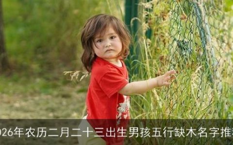 2026年农历二月二十三出生男孩五行缺木名字推荐