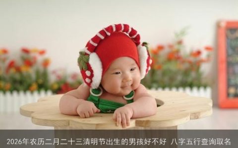 2026年农历二月二十三清明节出生的男孩好不好 八字五行查询取名
