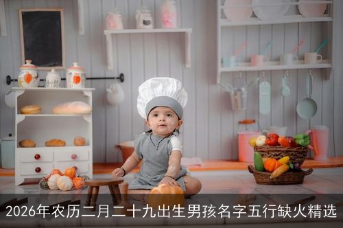2026年农历二月二十九出生男孩名字五行缺火精选