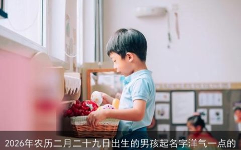 2026年农历二月二十九日出生的男孩起名字洋气一点的