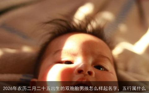 2026年农历二月二十五出生的双胞胎男孩怎么样起名字，五行属什么