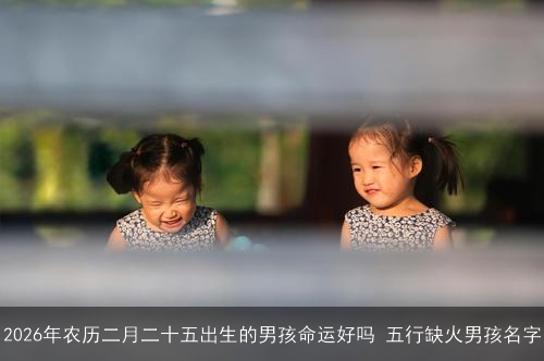 2026年农历二月二十五出生的男孩命运好吗 五行缺火男孩名字