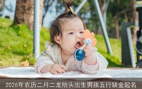2026年农历二月二龙抬头出生男孩五行缺金起名
