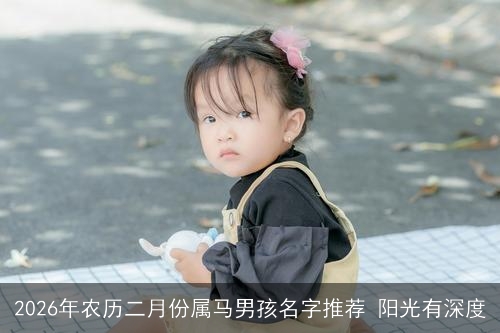 2026年农历二月份属马男孩名字推荐 阳光有深度