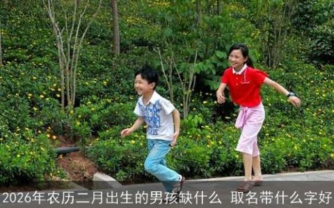 2026年农历二月出生的男孩缺什么 取名带什么字好