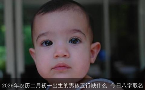 2026年农历二月初一出生的男孩五行缺什么 今日八字取名
