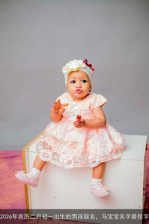 2026年农历二月初一出生的男孩取名，马宝宝名字最佳字