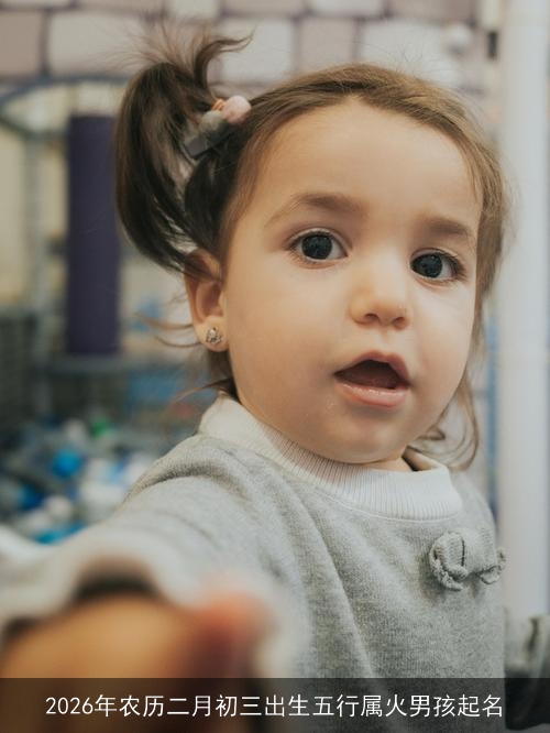 2026年农历二月初三出生五行属火男孩起名