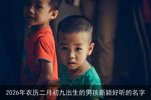 2026年农历二月初九出生的男孩新颖好听的名字