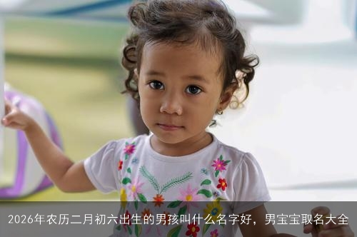 2026年农历二月初六出生的男孩叫什么名字好，男宝宝取名大全