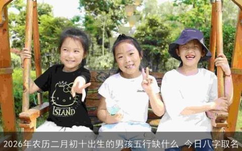 2026年农历二月初十出生的男孩五行缺什么 今日八字取名