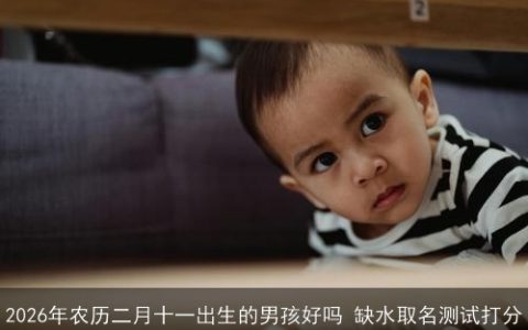 2026年农历二月十一出生的男孩好吗 缺水取名测试打分