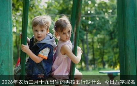 2026年农历二月十九出生的男孩五行缺什么 今日八字取名