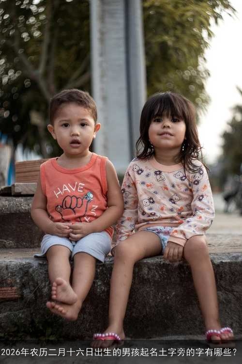 2026年农历二月十六日出生的男孩起名土字旁的字有哪些？